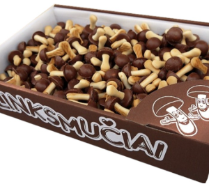 RAGA GRZYBKI CZEKOLADOWE 1KG