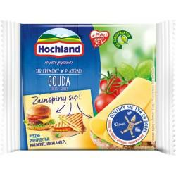 N HOCHLAND SER PLASTRY GOUDA 130g/10